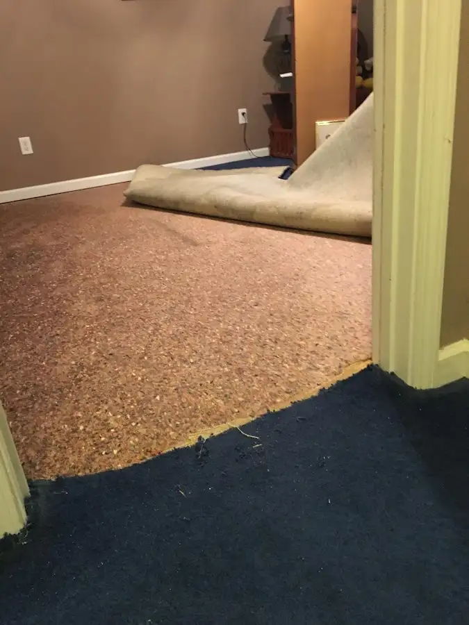 Carpet pad removal revealing water damage during Water Mitigation Services in Redmond