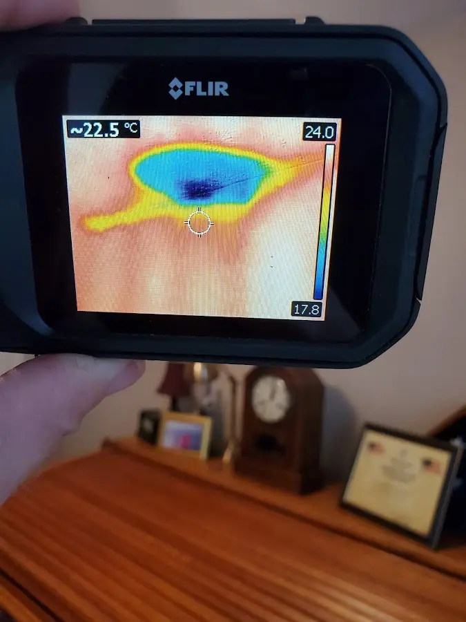 Thermal imaging inspection for water damage in Redmond